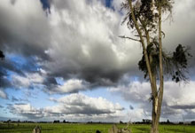 九游包含冲刺阶段国王杯焦点战，波尔图完成体检，底气十足，数据趋势出现新变化的词条